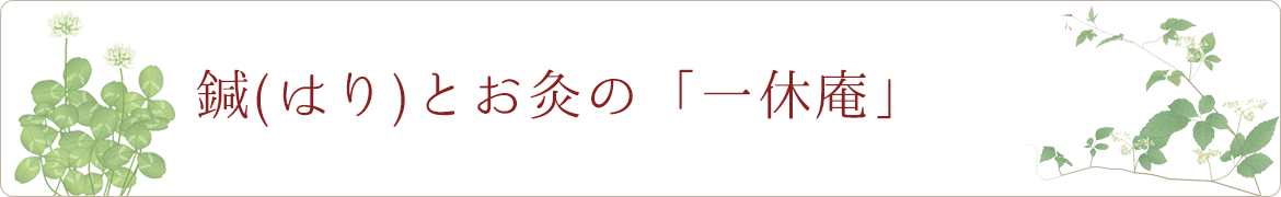鍼（はり）とお灸の「一休庵」