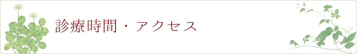 診療時間・アクセス